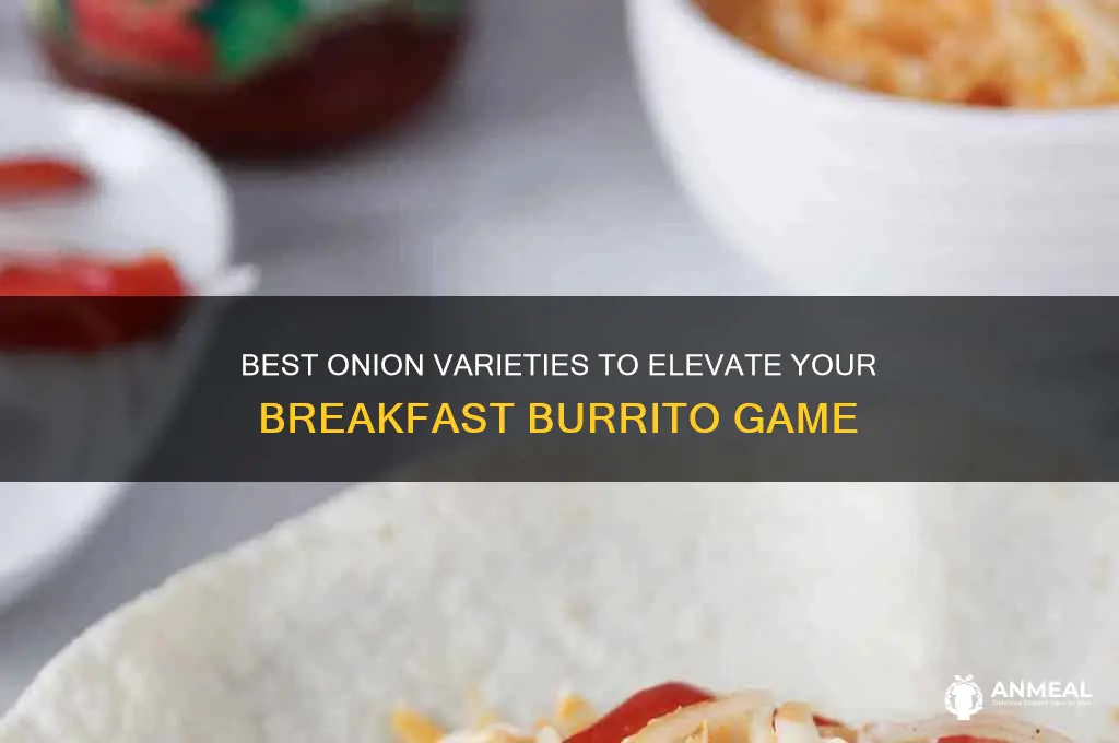 what kind of onion for breakfast burrito