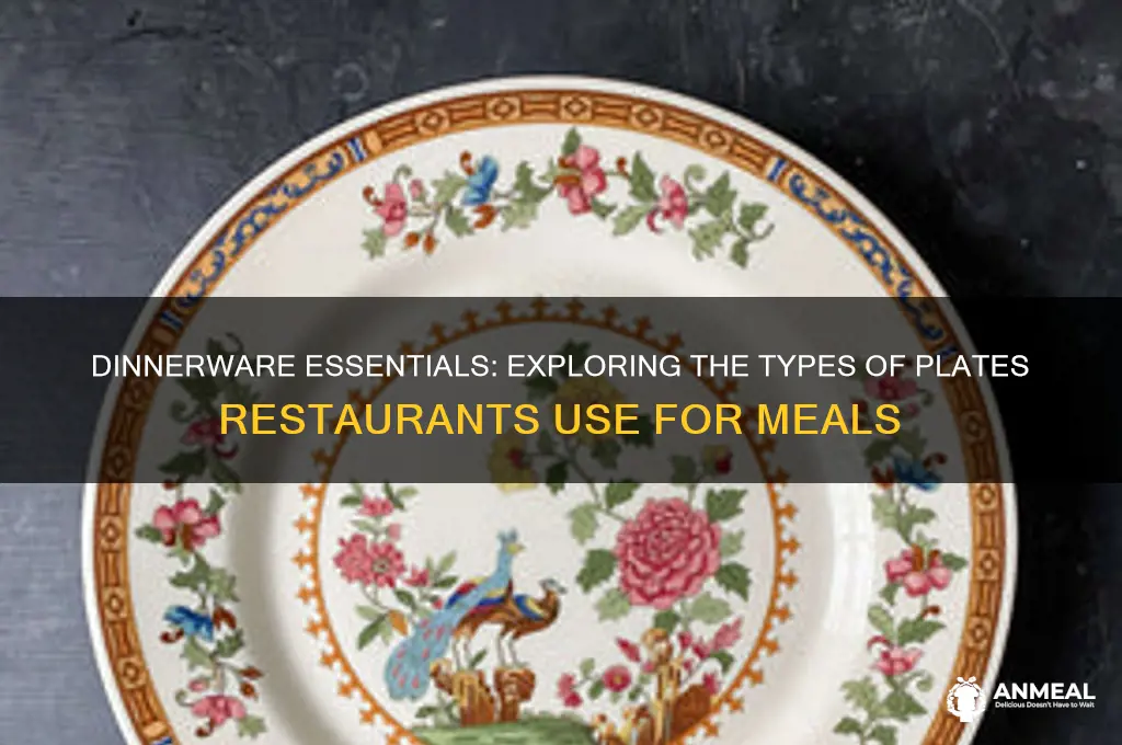 what kind of plates do restaurants use for dinner