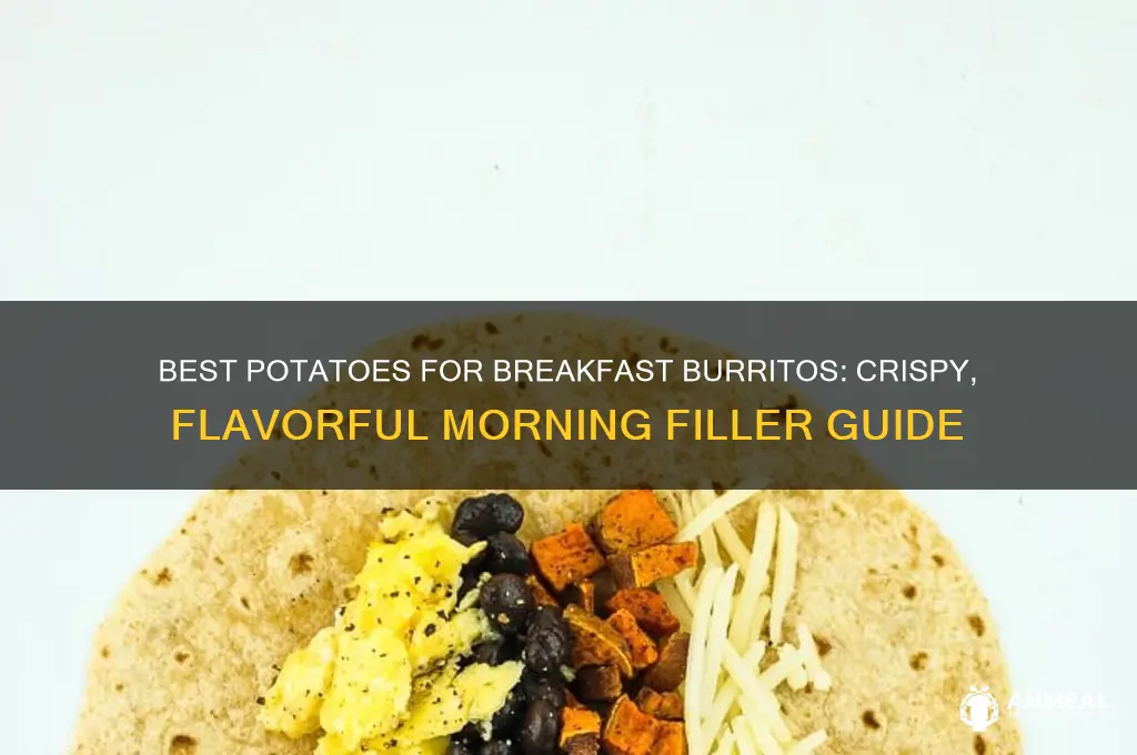 what kind of poatoes for breakfast burrito