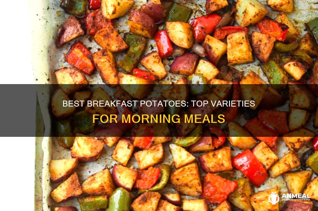 what kind of potatoes are best for breakfast