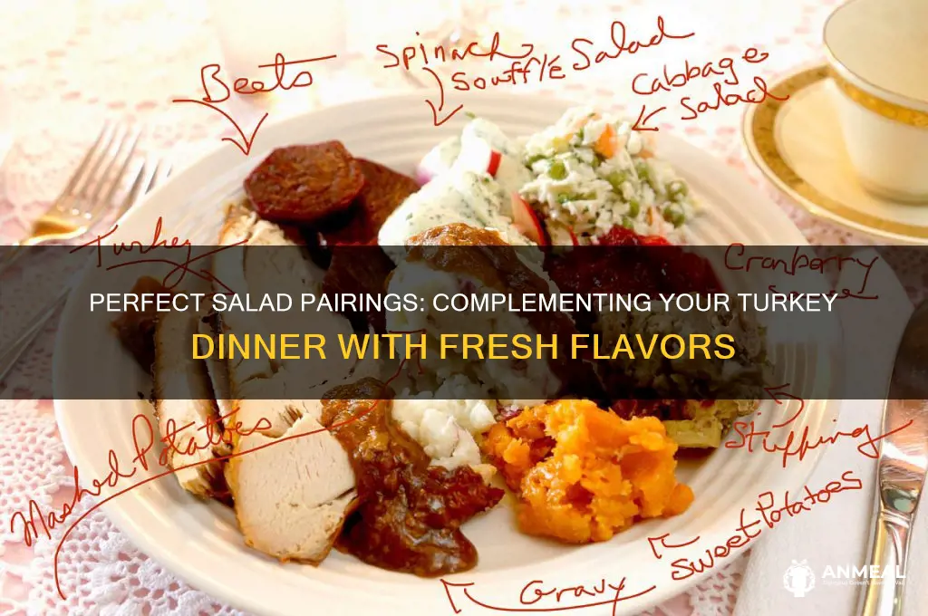 what kind of salad goes with turkey dinner
