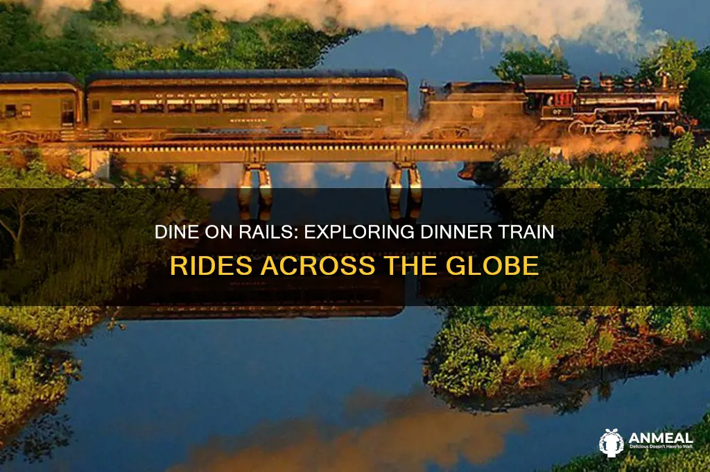 what kind of train rides are available with dinner