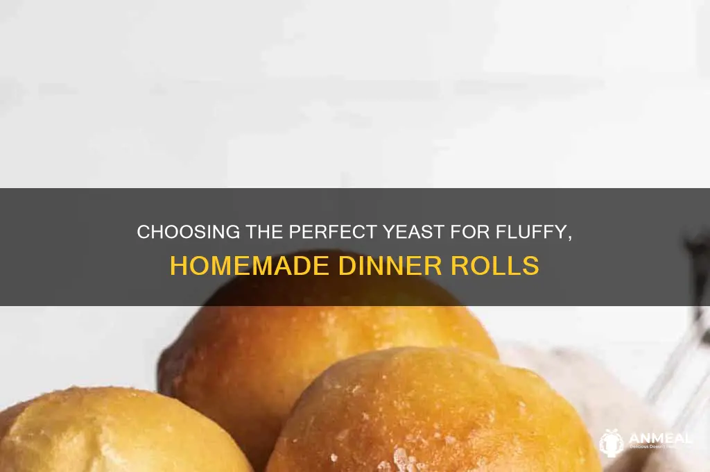 what kind of yeast for dinner rolls
