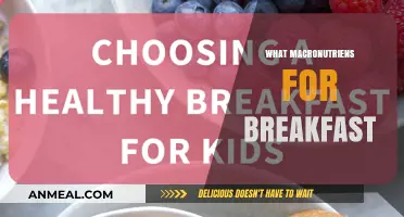 Fuel Your Morning: Optimal Macronutrients for a Balanced Breakfast