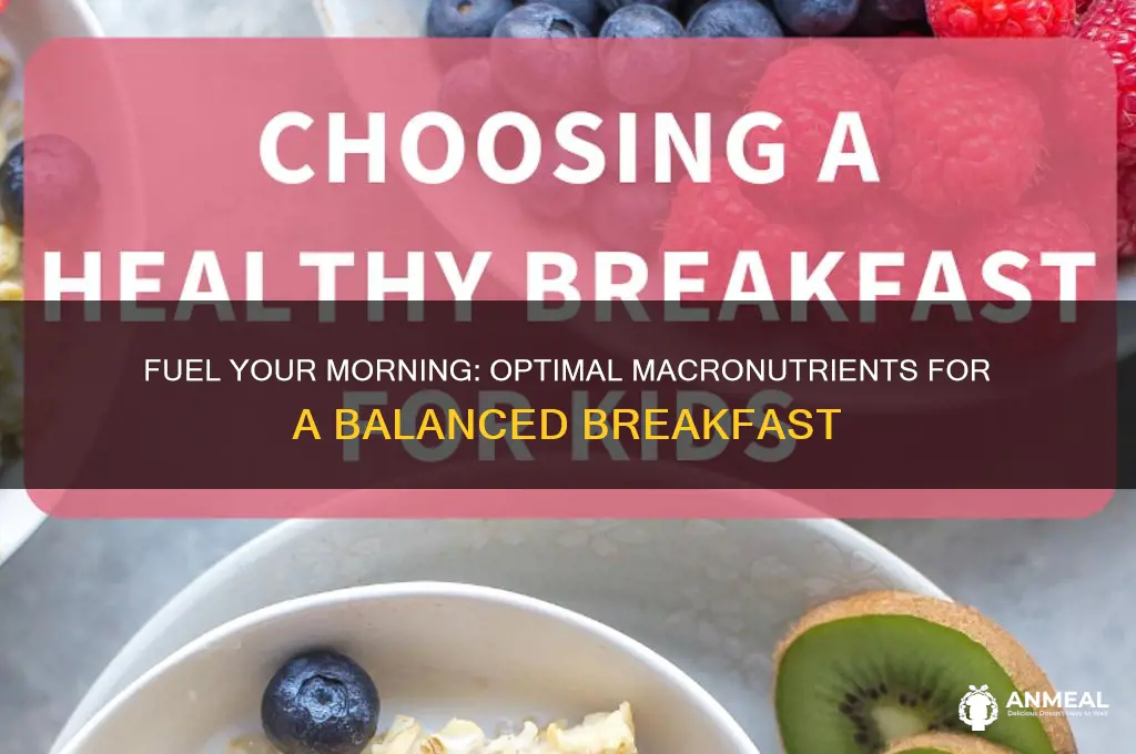 what macronutriens for breakfast