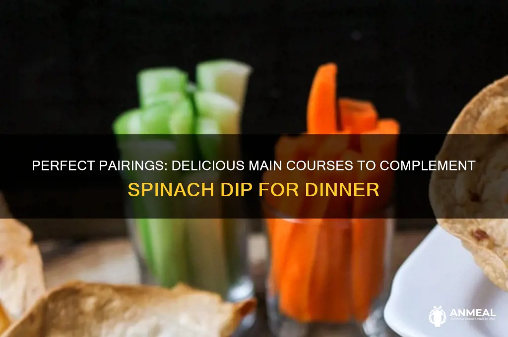 what main course goes with spinach dip for dinner