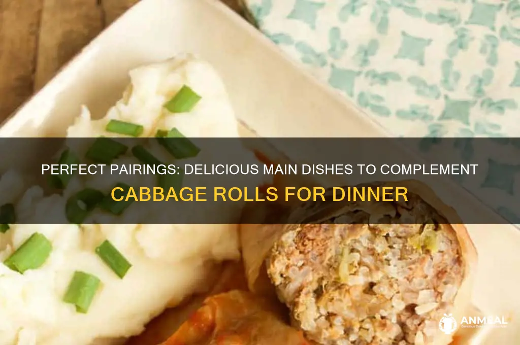 what main dish goes with cabbage rolls for dinner