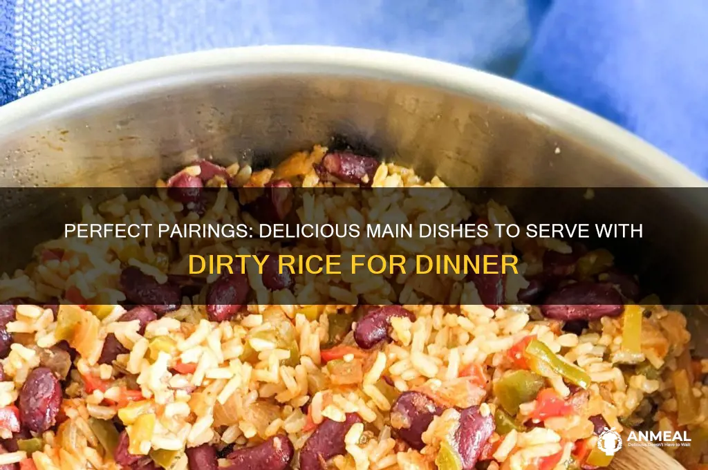 what main dish goes with dirty rice for dinner