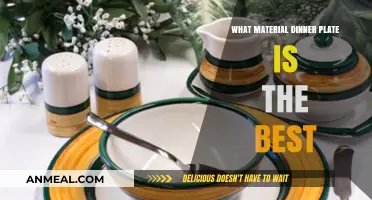 Choosing the Perfect Dinner Plate: Material Pros and Cons Compared