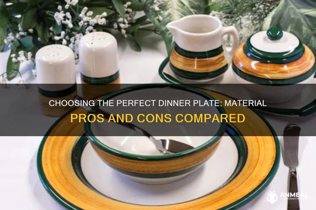 what material dinner plate is the best