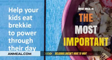 Nutrition Basics: The Most Important Meal of the Day