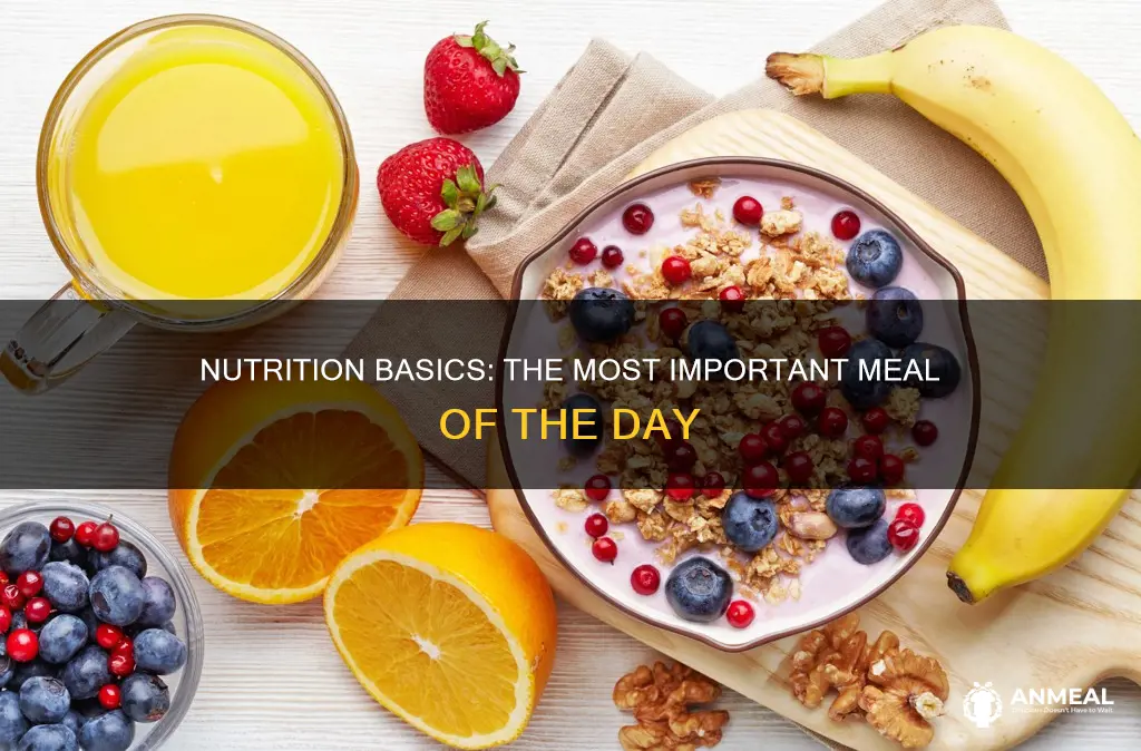 what meal is the most important