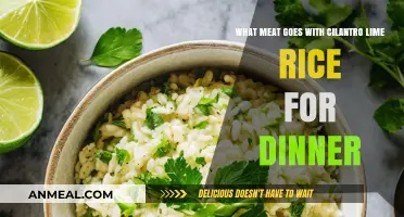 Perfect Protein Pairings: What Meat Complements Cilantro Lime Rice for Dinner?
