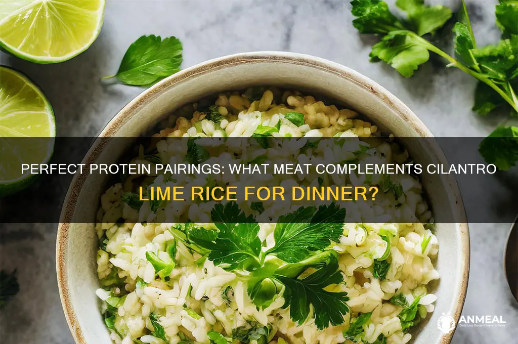 what meat goes with cilantro lime rice for dinner