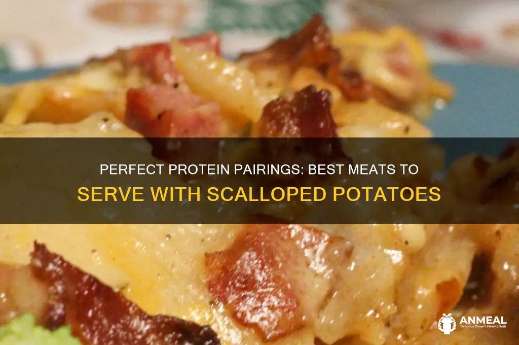 what meat goes with scalloped potatoes for dinner