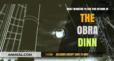 Best Monitor for Return of the Obra Dinn: Top Picks & Tips