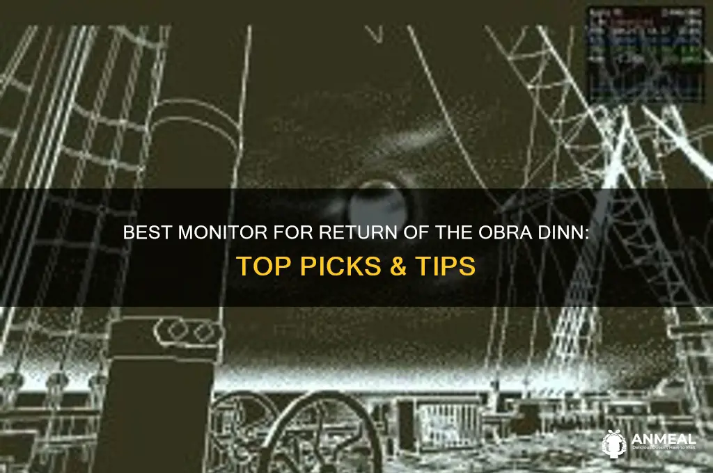 what monitor to use for return of the obra dinn