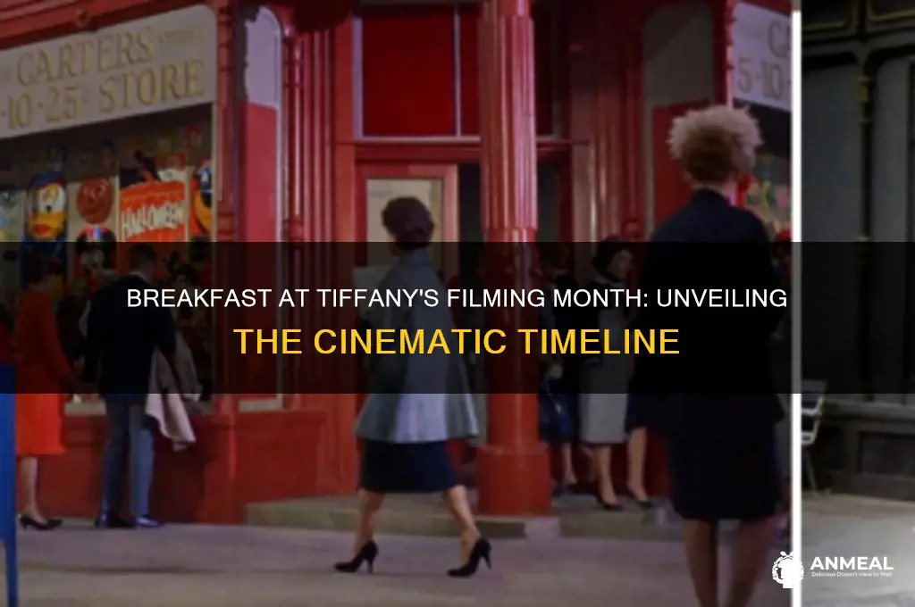 what month was breakfast at tiffanys filmed