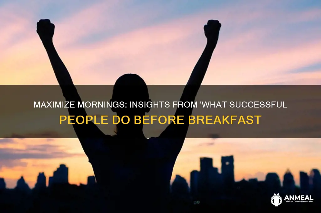 what most successful people do before breakfast book
