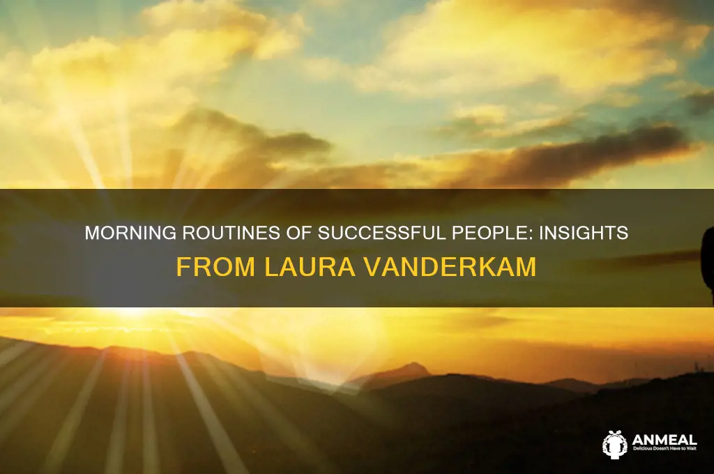 what most successful people do before breakfast by laura vanderkam