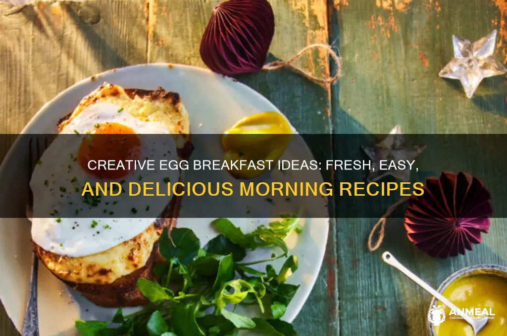 what new breakfast using eggs