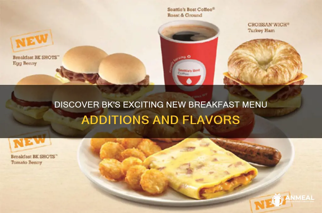 what new for breakfast at bk