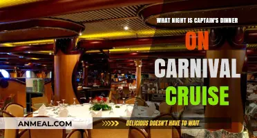 Carnival Cruise Captain's Dinner Night: When to Dress Up