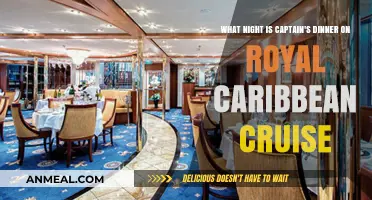 Royal Caribbean's Captain's Dinner Night: When to Dress Up
