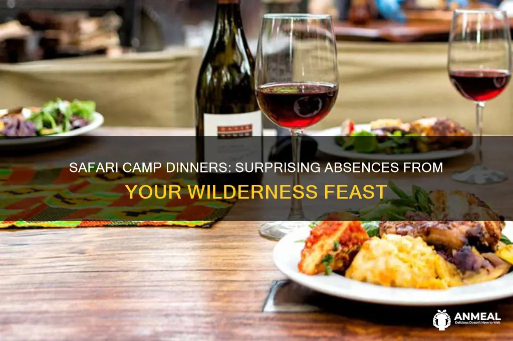what not to expect at a safari camp dinner