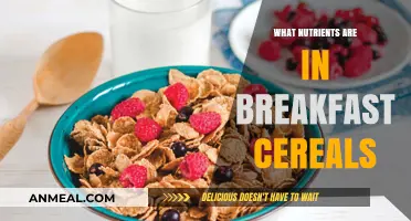 Essential Nutrients in Breakfast Cereals: A Healthy Morning Boost
