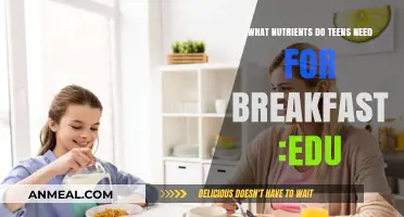 Essential Nutrients Teens Need for a Healthy Breakfast: A Guide