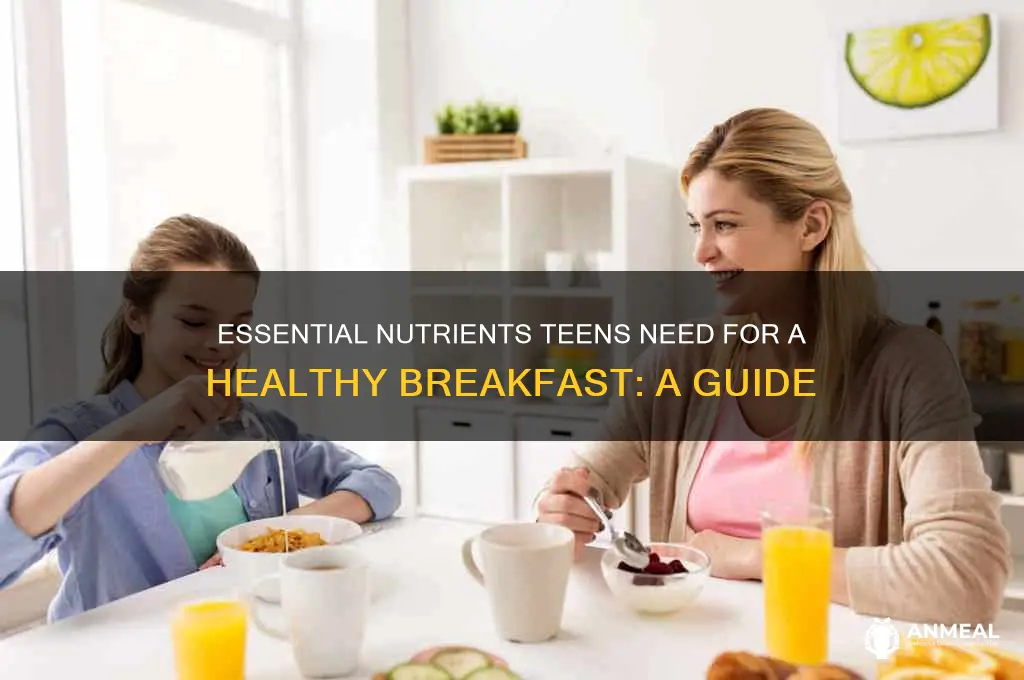 what nutrients do teens need for breakfast :edu