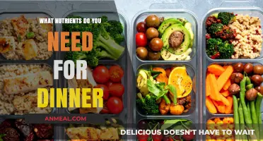 Essential Nutrients for a Balanced and Healthy Dinner Plan