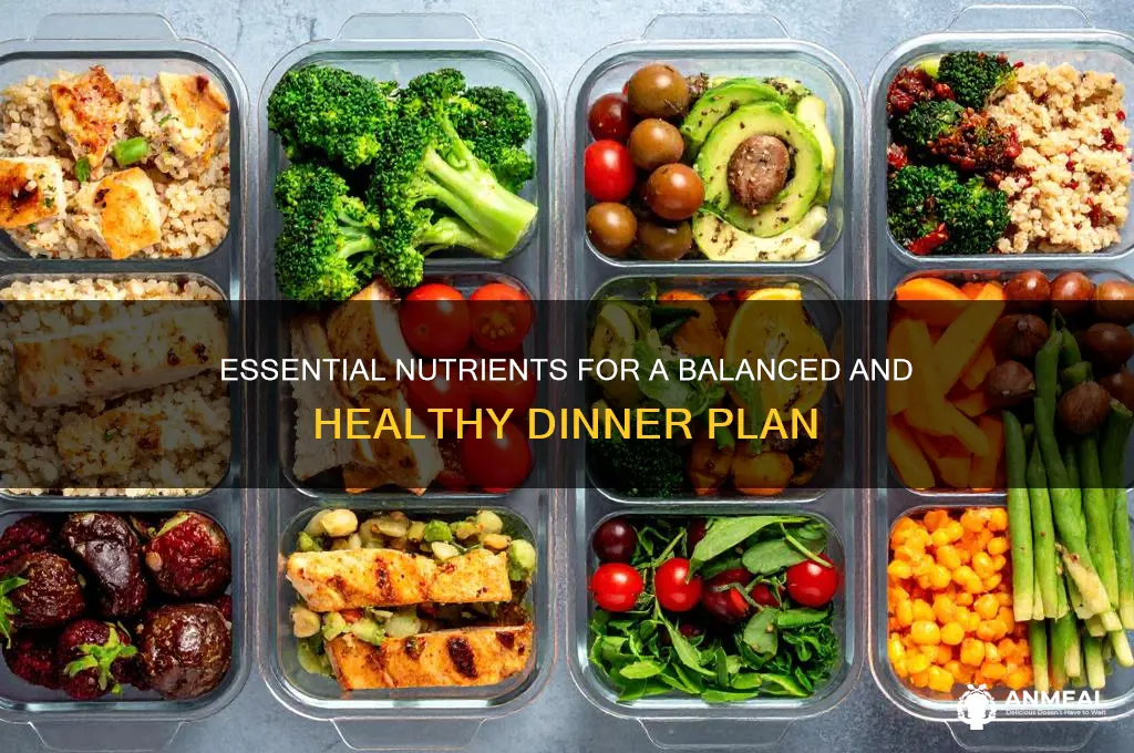 what nutrients do you need for dinner