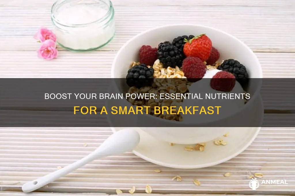 what nutrients of a breakfast help with brain function