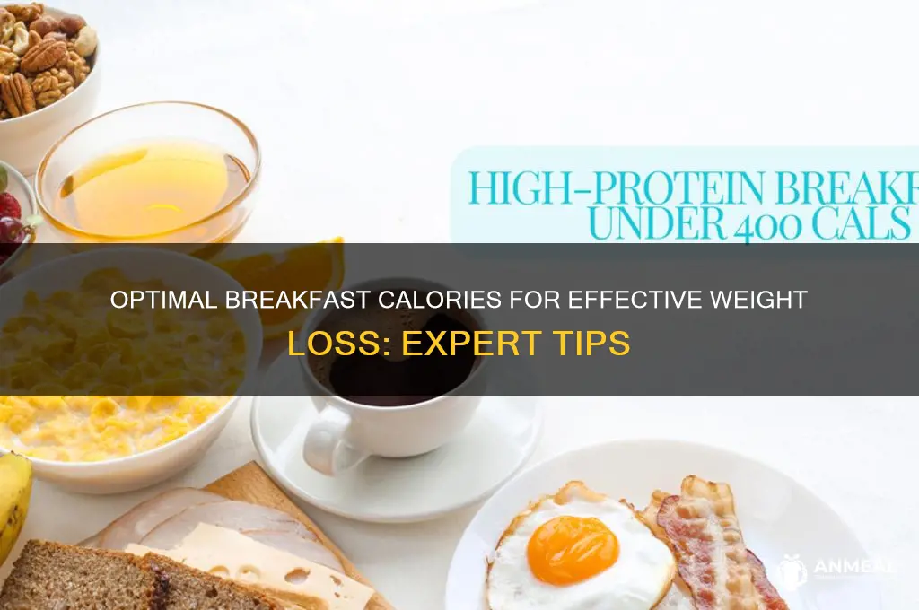 what of daily calories should breakfast be for weight loss