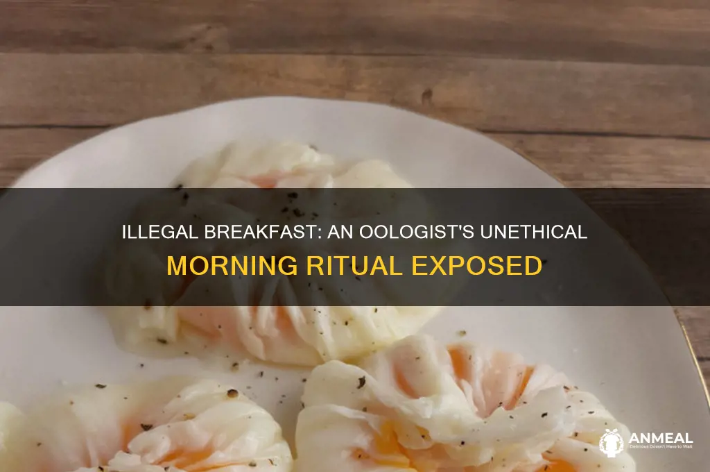 what oologist did illegally for breakfast