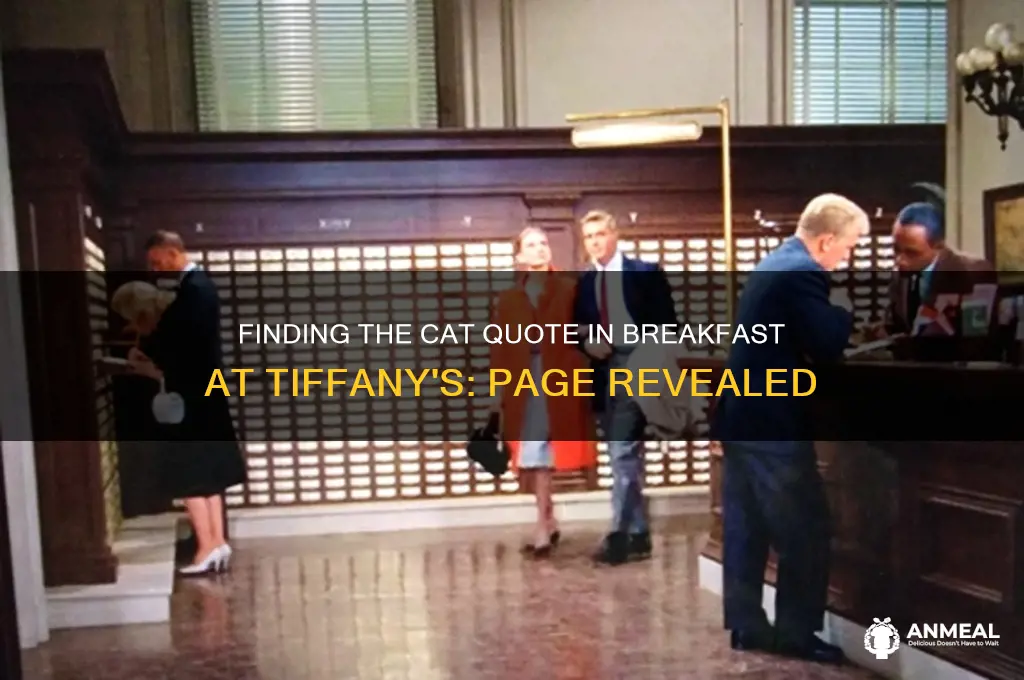 what page is the cat quote on breakfast at tiffany