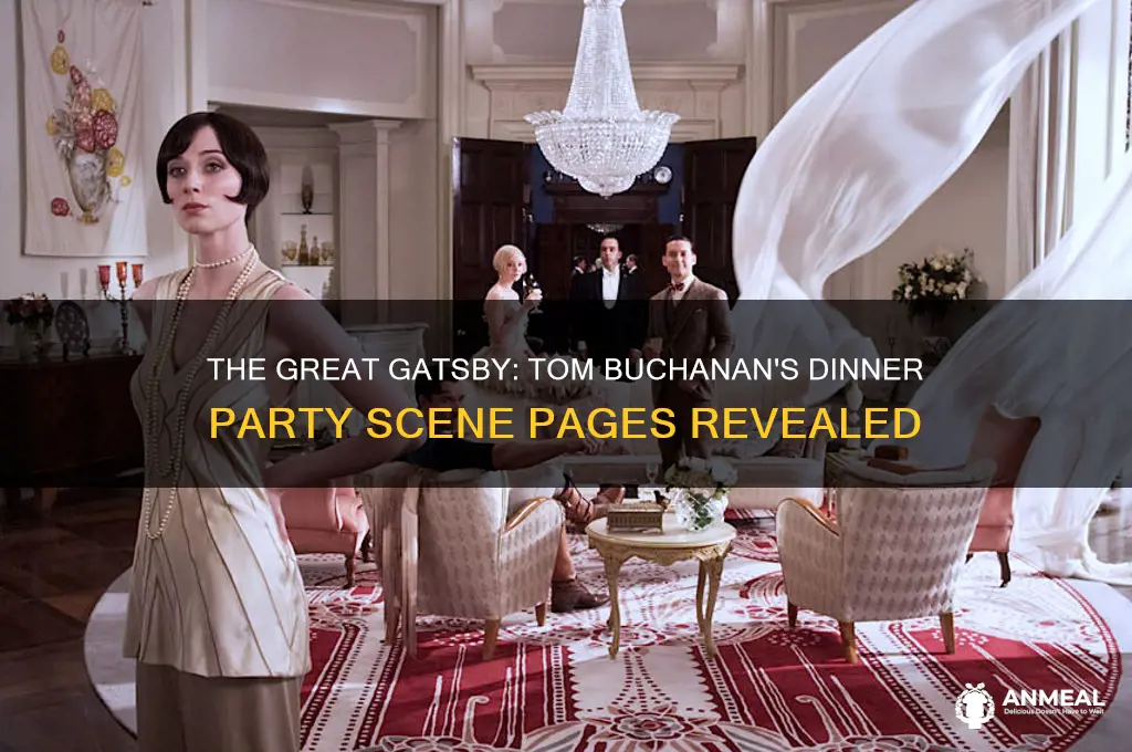 what pages was the tom buchanan dinner party