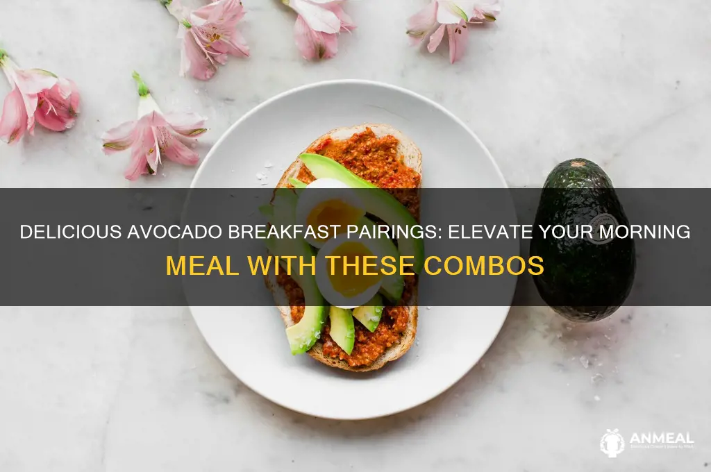 what pairs well with avocado breakfast
