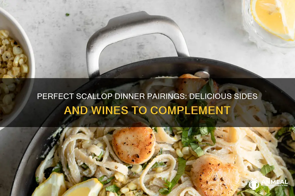 what pairs with scallops for dinner