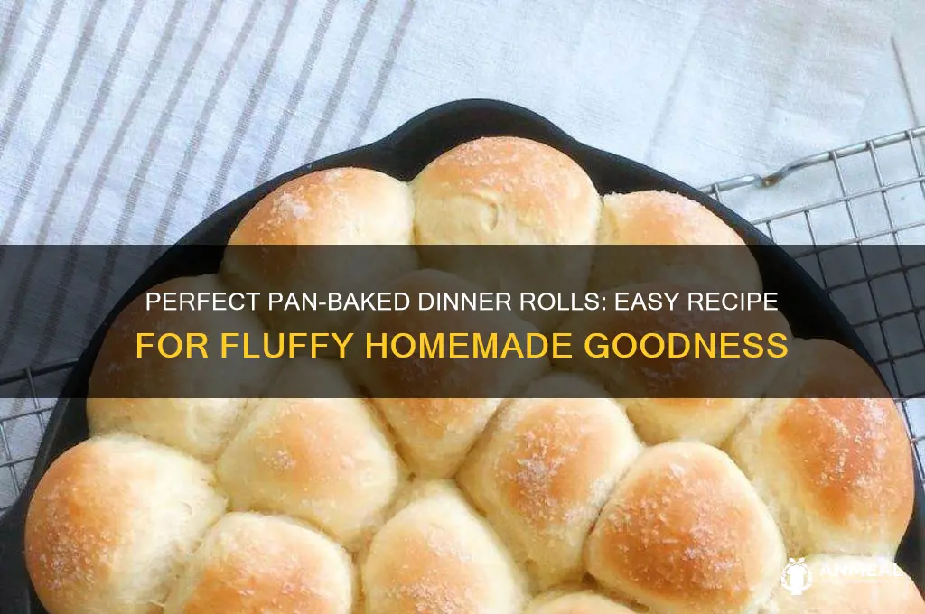 what pan bake dinner rolls