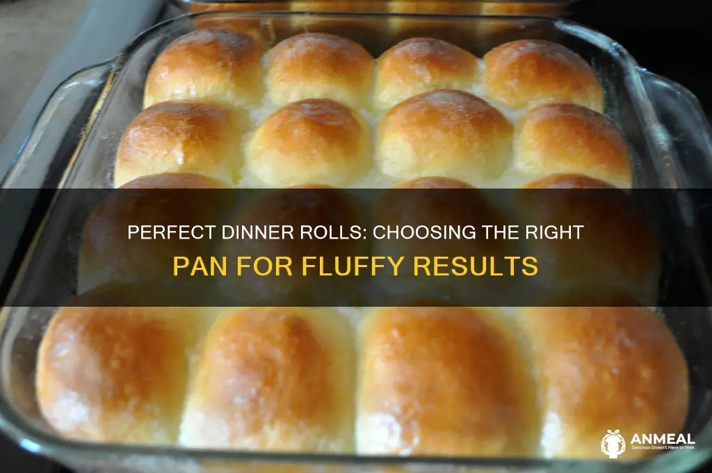 what pan to use for dinner rolls