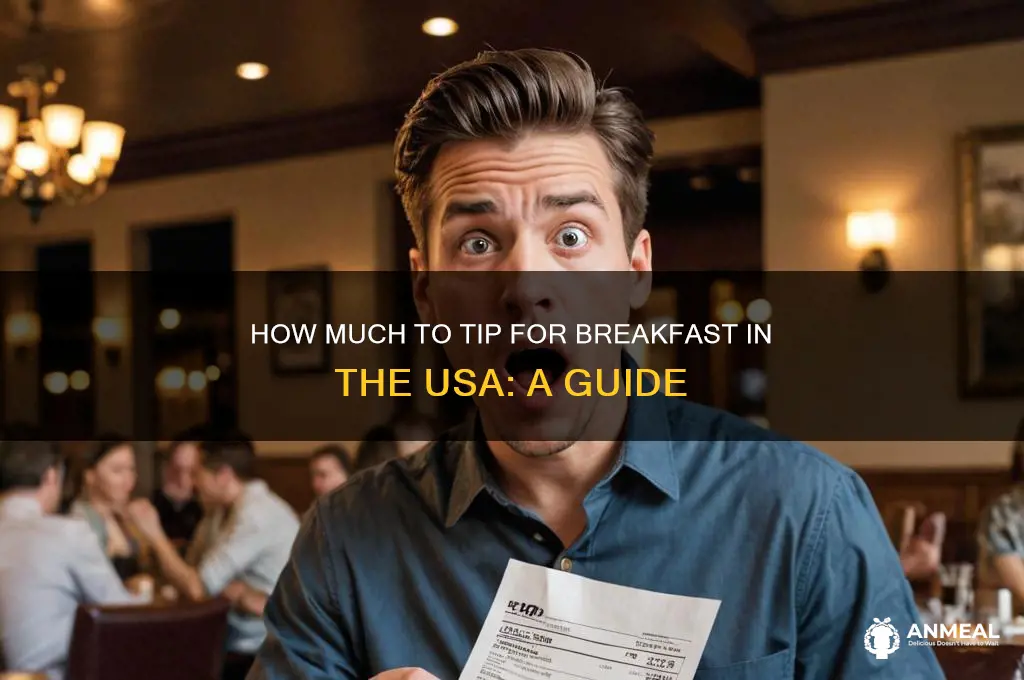 what percentage tip breakfast usa