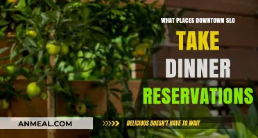Where to Dine in Downtown SLO: Top Spots for Reservations