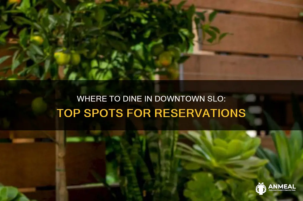 what places downtown slo take dinner reservations