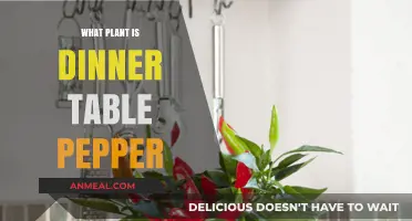 Unveiling the Dinner Table Pepper: A Guide to Its Plant Origins