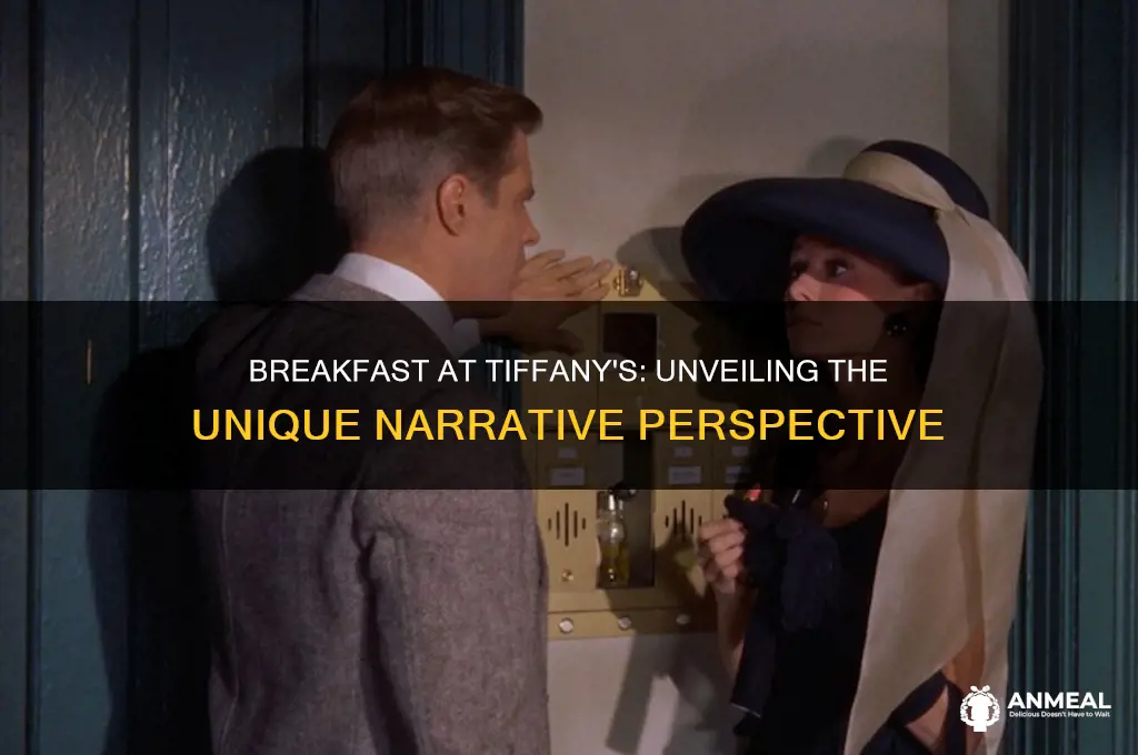 what point of view is breakfast at tiffany