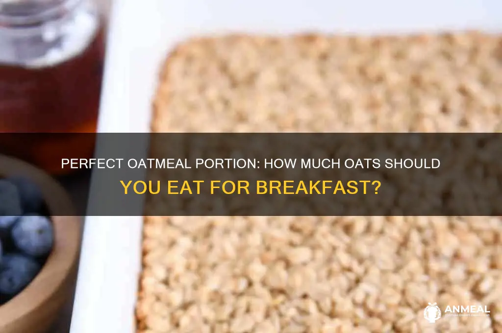 what portion of oats for breakfast