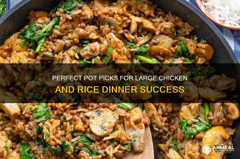 what pot to use for large chicken and rice dinner